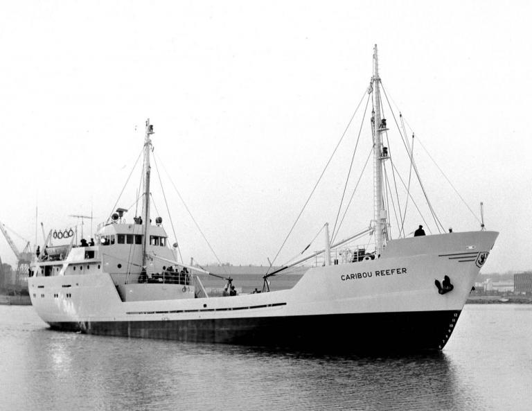 Image: black and white, showing the MV Caribou Reefer 