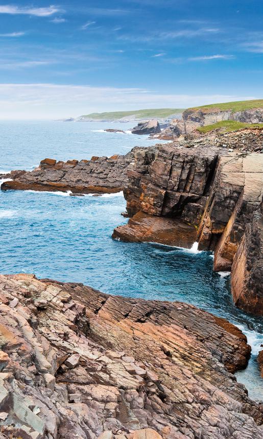 Mistaken Point Ecological Reserve Fossil Bed Area Avalon